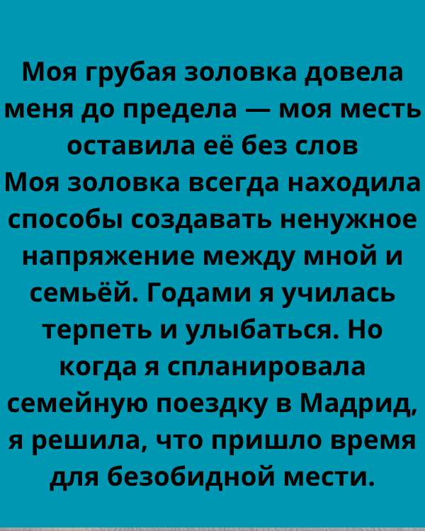 Моя грубая золовка довела меня до предела — моя месть оставила её без слов 