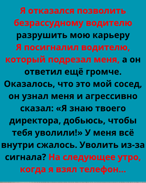 Я отказался позволить безрассудному водителю разрушить мою карьеру